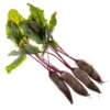 Baby Cylindra Beets