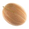 Cantaloupe