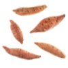 Mini Sweet Potato