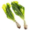 Chinese Asparagus