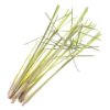 Lemon grass
