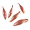 Shallots
