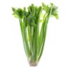 American Celery