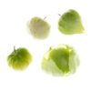 Tomatillo