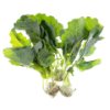 Baby purple kohlrabi