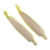White corn