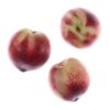 White nectarine