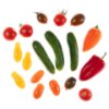 Veggie kit