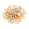 Macadamia