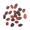 Merlot Cherry Tomato