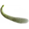 Snake melon / Armenian cucumber