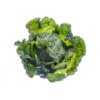 Savoy cabbage