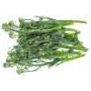 Broccolini