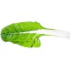 Chard