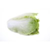 Chinese cabbage