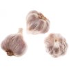 Israeli Garlic