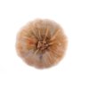 Thai pumpkin