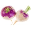 Turnip