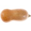 Butternut squash