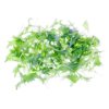 Baby green mizuna