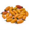 Harlequin Tiger Cherry Tomato
