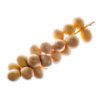 Yellow dates
