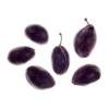 European "Sagiv" plum