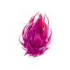 Purple pitaya