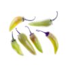 Shifka peppers