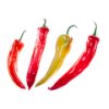 Red Shushka pepper 