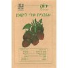 Oxheart Tomato Seeds