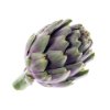 Artichoke