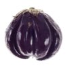 Baladi eggplant