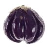 Baladi eggplant