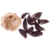 Black garlic