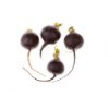 Black mini radish