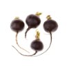 Black radish