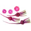 Candy beetroot