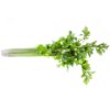 Celery