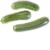 Squash / Courgette