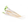 Daikon radish