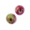 Gala apple