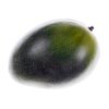 Green unripe mango