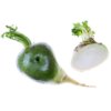 Green radish