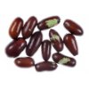 Chinese jujube