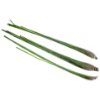 Lemon grass