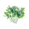 Lovage
