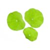 Monks cress leaves