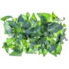 New Zealand spinach