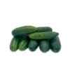 Cornichon \ Gerkin